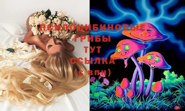 Альфа ПВП Арсеньев