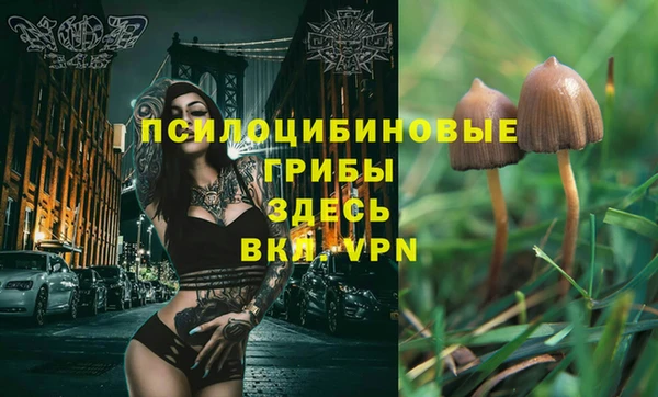 стафф Алексин