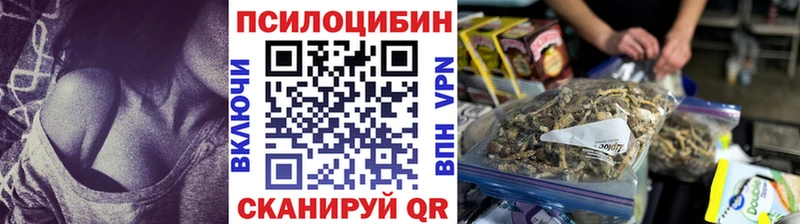 купить  сайты  Сокол  Псилоцибиновые грибы мицелий 